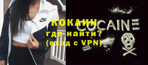 крисы Абаза