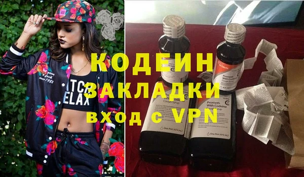 крисы Абаза