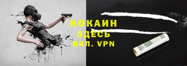 крисы Абаза