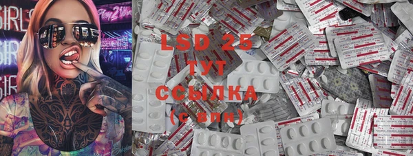 крисы Абаза