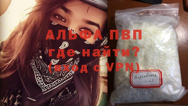 крисы Абаза