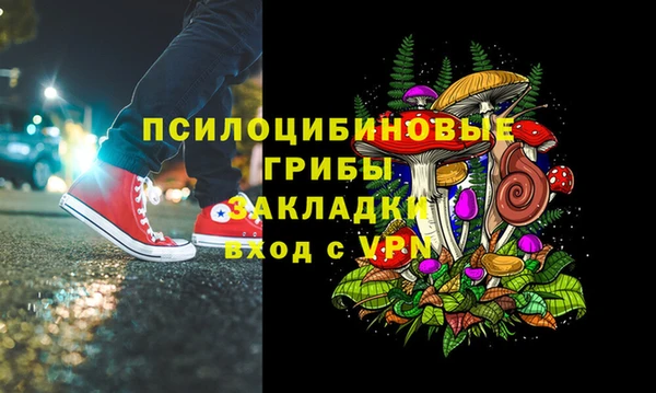 крисы Абаза