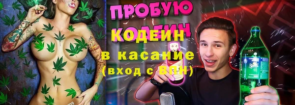 крисы Абаза