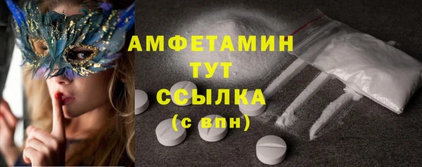 крисы Абаза